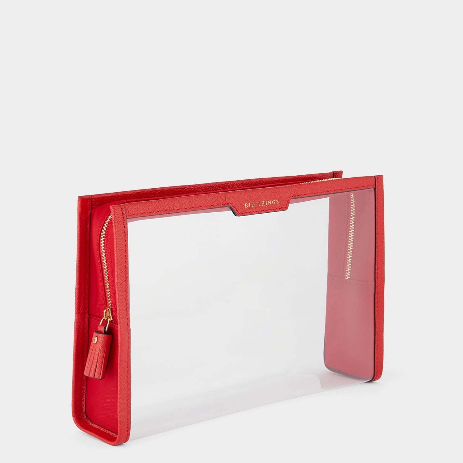 Big Things Pouch -

          
            Capra Leather in Red -
          

          Anya Hindmarch EU
