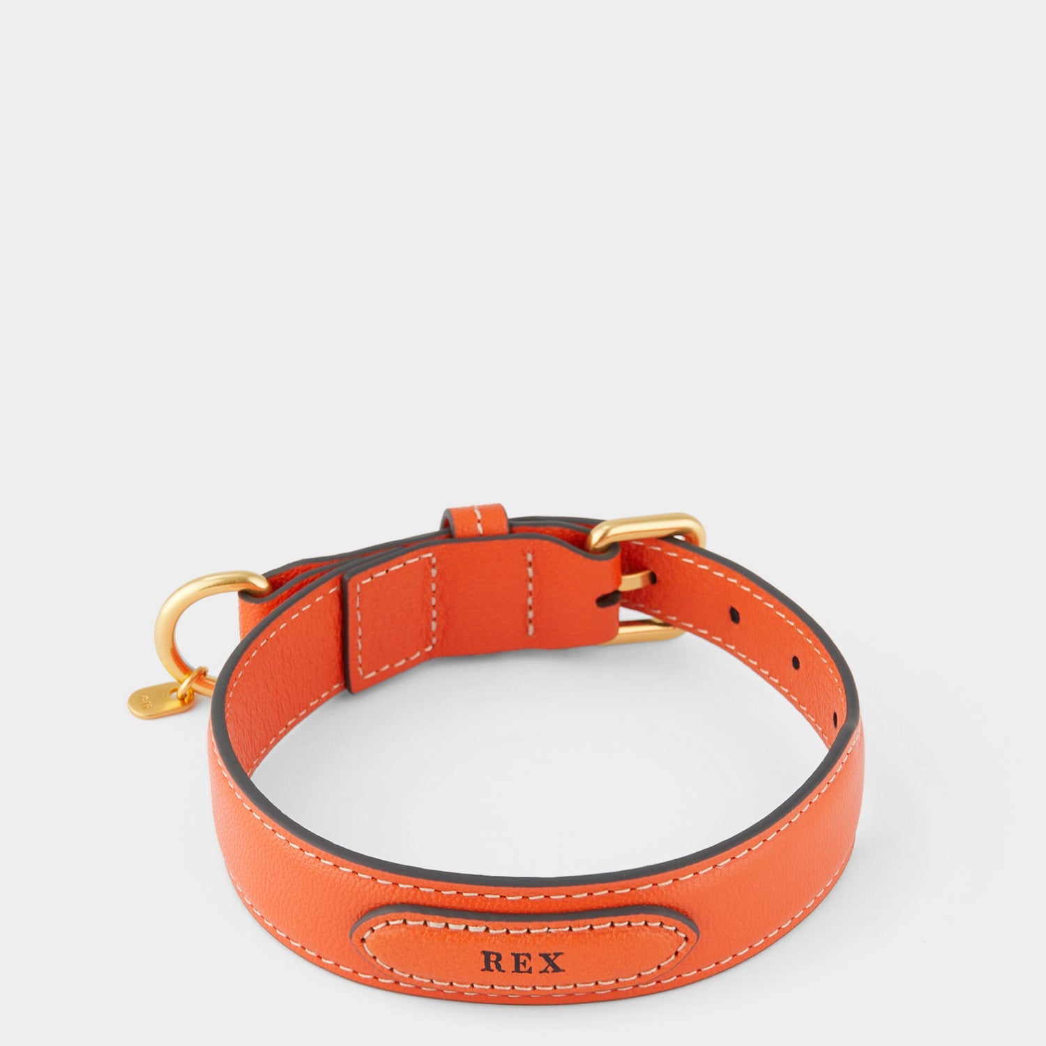 Small Dog Collar -

          
            Capra Leather in Clementine -
          

          Anya Hindmarch EU
