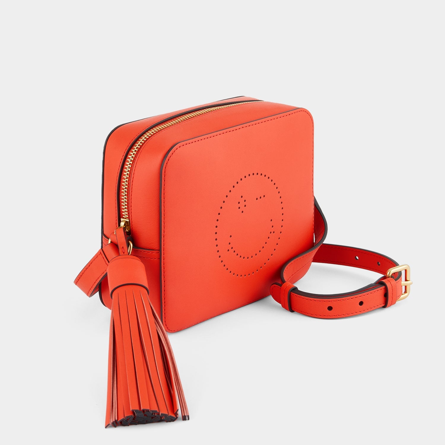 Wink Cross-body -

                  
                    Calf Leather in Salmon -
                  

                  Anya Hindmarch EU
