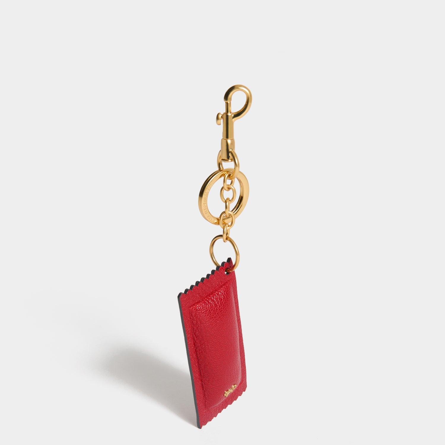 Anya Brands Heinz Ketchup Charm -

          
            Capra Leather in Red -
          

          Anya Hindmarch EU
