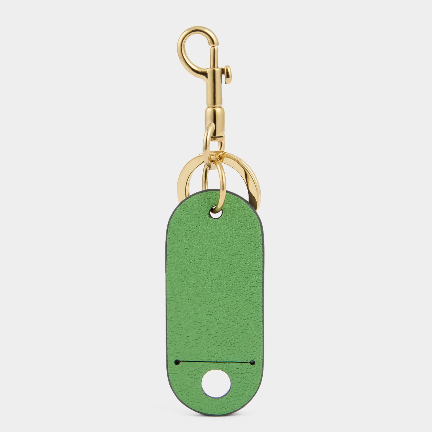 Luggage Tag -

          
            Capra Leather in Grass Green -
          

          Anya Hindmarch EU
