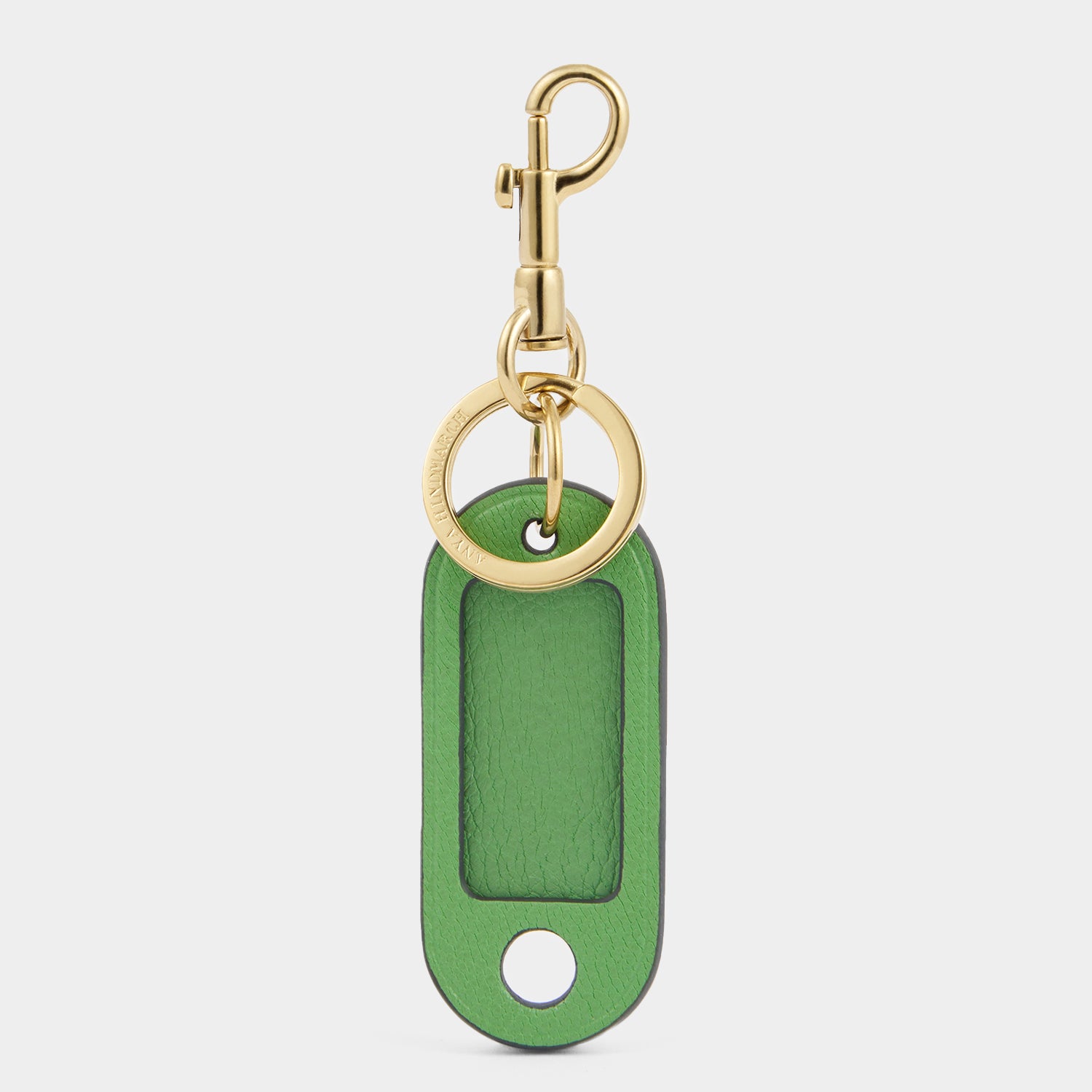 Luggage Tag -

          
            Capra Leather in Grass Green -
          

          Anya Hindmarch EU
