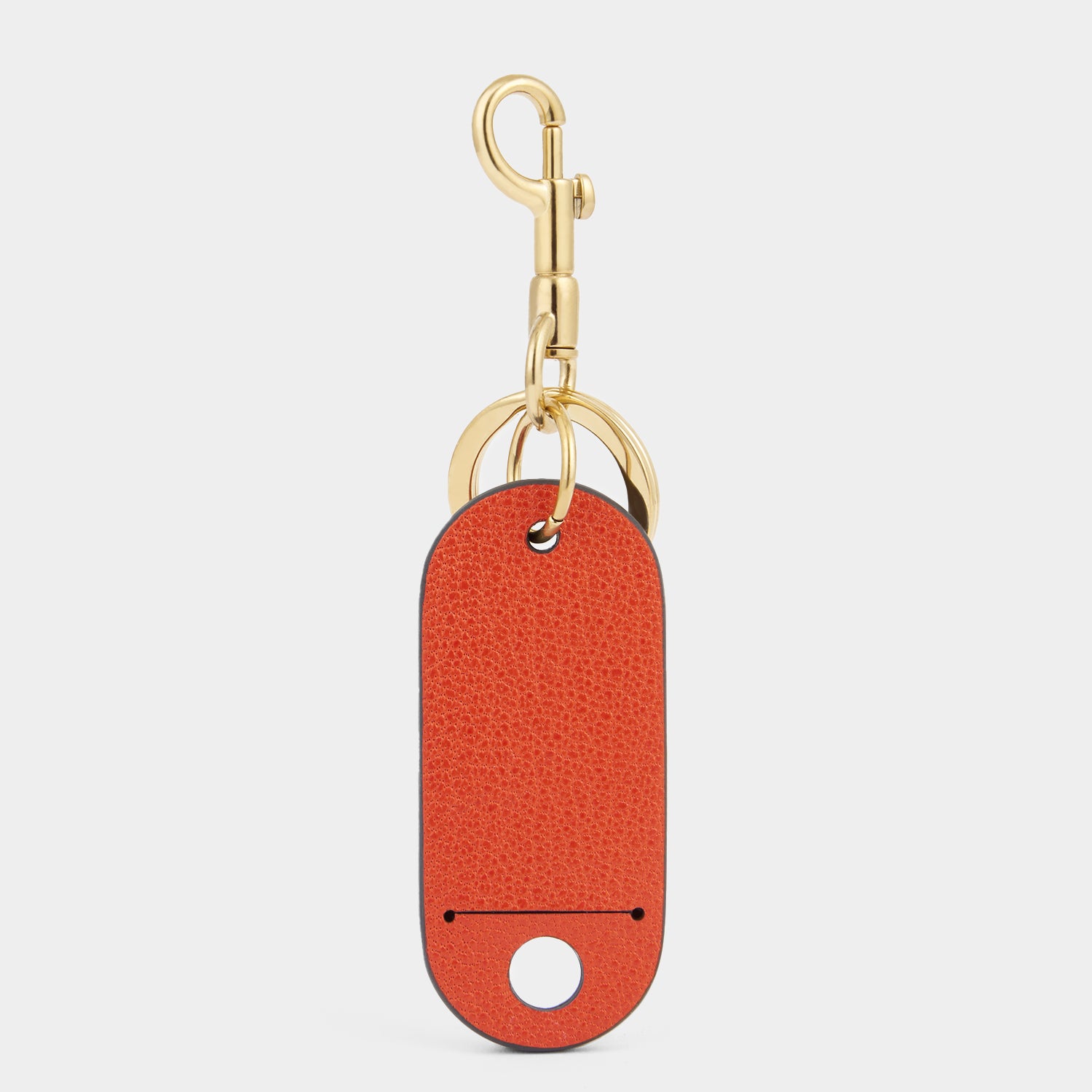 Luggage Tag -

          
            Capra Leather in Burnt Sienna -
          

          Anya Hindmarch EU
