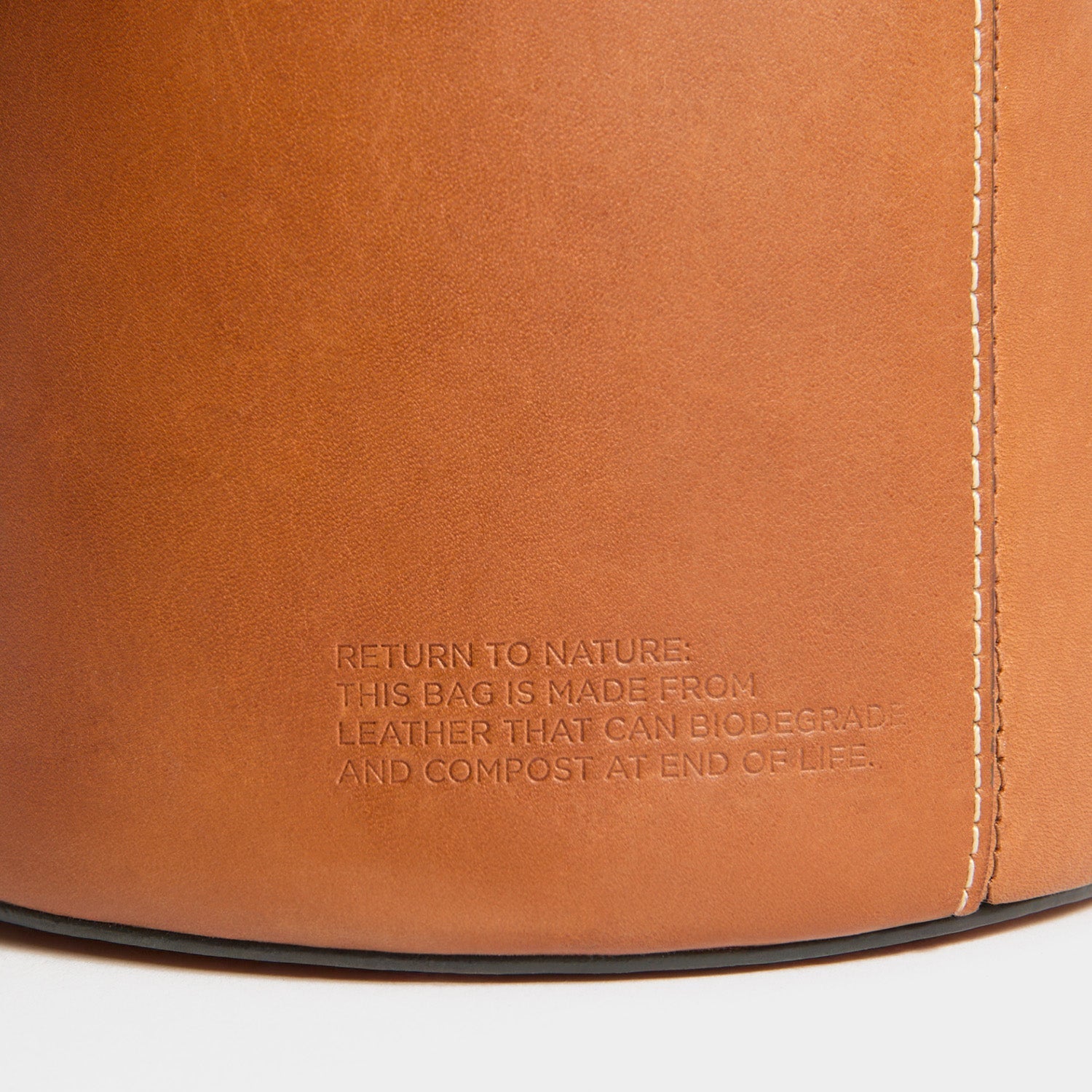 Return To Nature Small Bucket Bag -

          
            Natural Grain Leather in Pecan Brown -
          

          Anya Hindmarch EU
