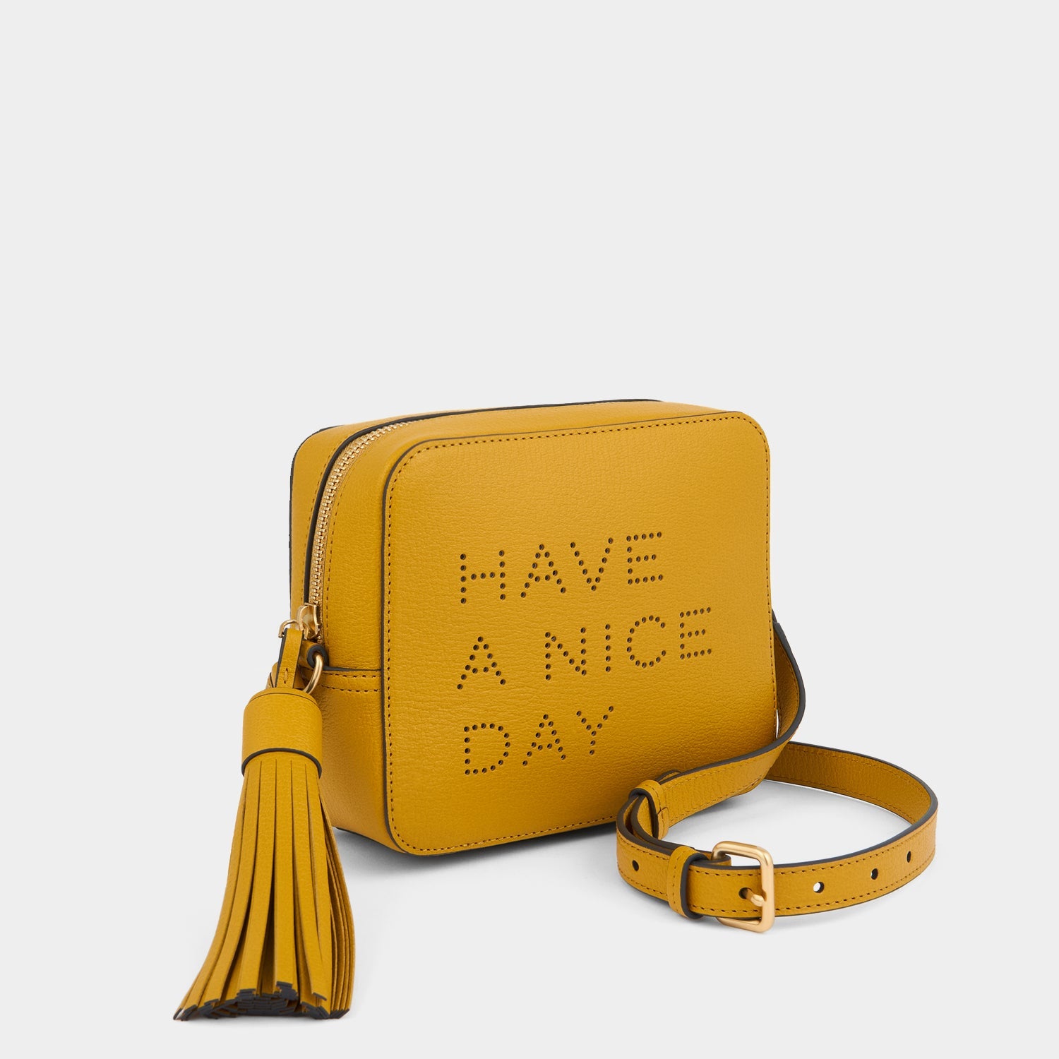 Have a Nice Day Cross-body -

          
            Capra Leather in Mustard -
          

          Anya Hindmarch EU
