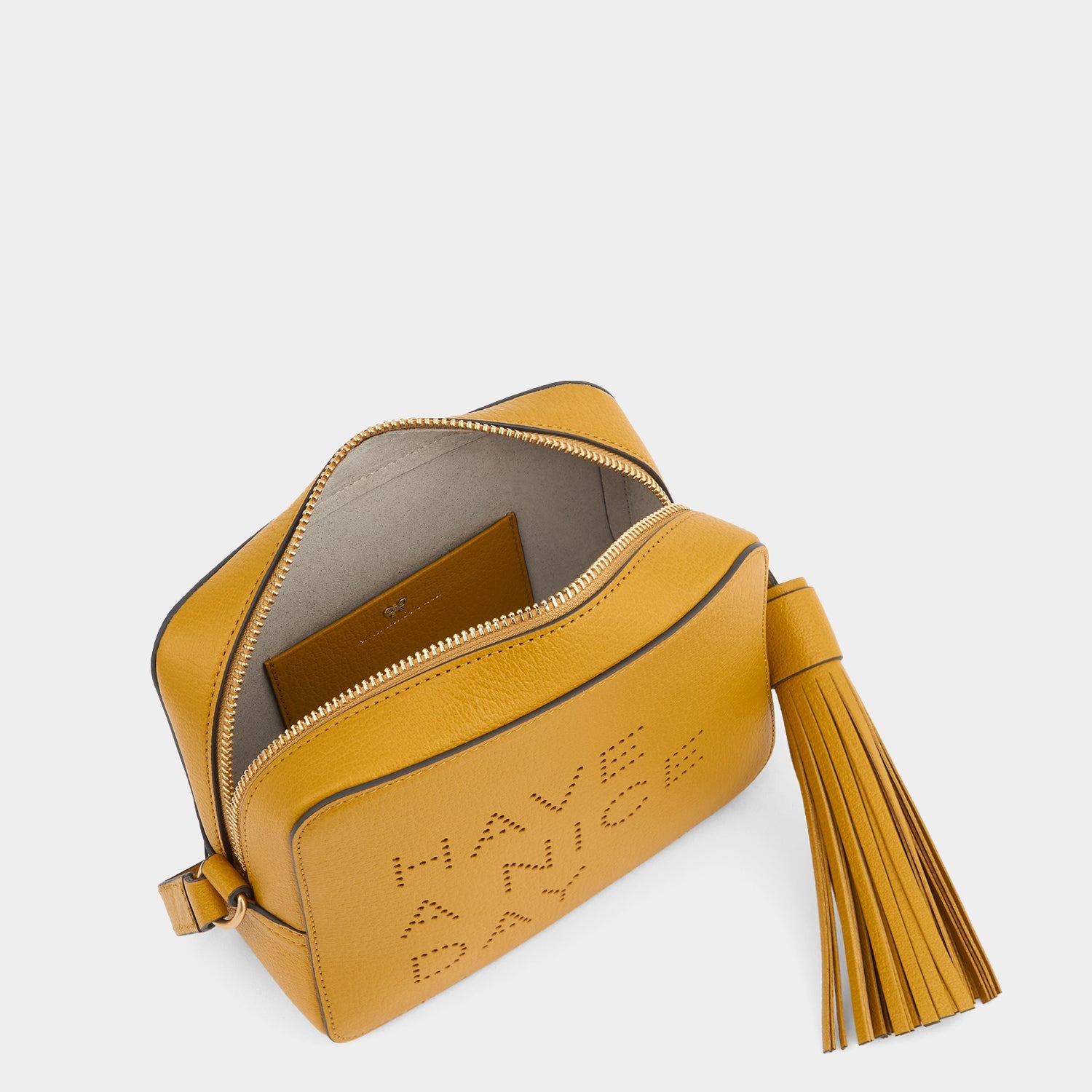 Have a Nice Day Cross-body -

          
            Capra Leather in Mustard -
          

          Anya Hindmarch EU
