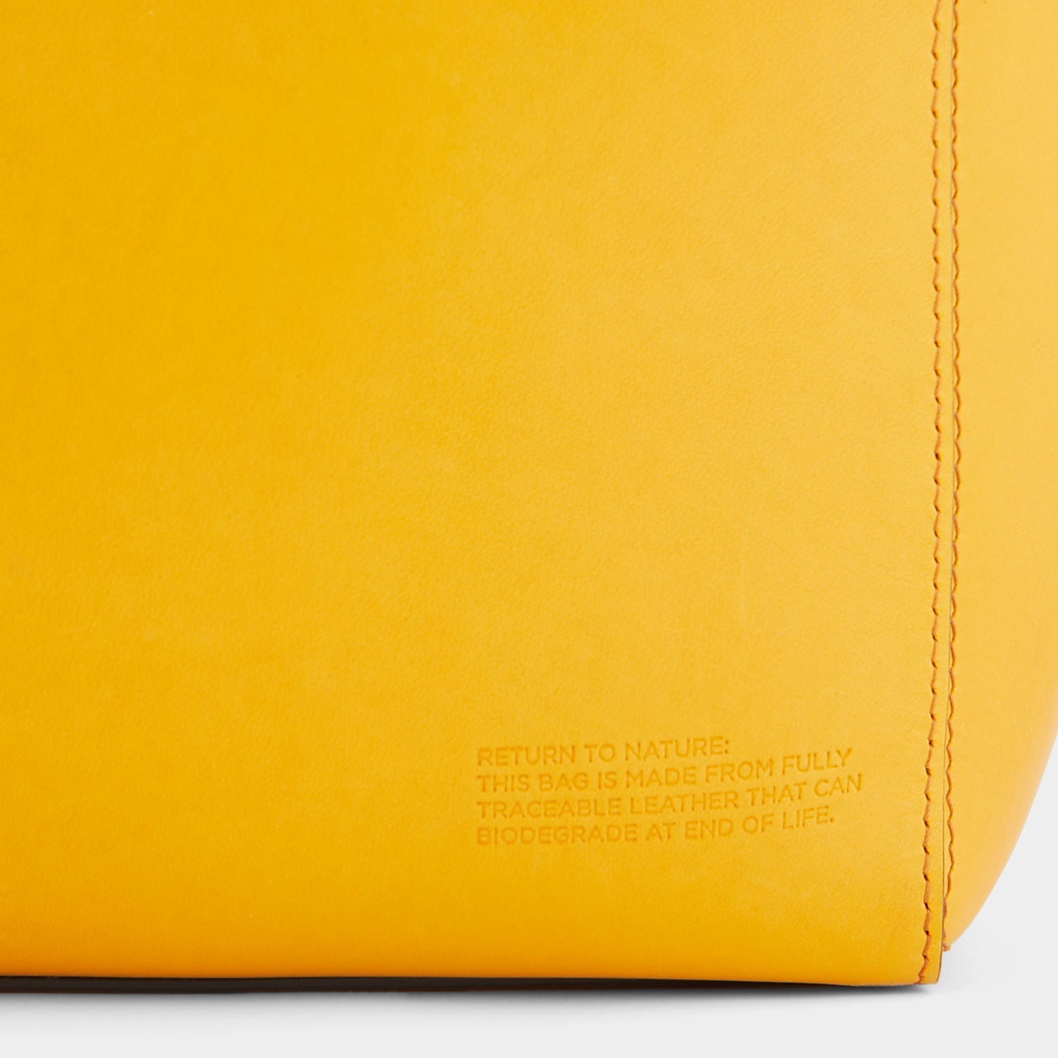 Return to Nature Tote Small -

                  
                    Compostable Leather in Honey -
                  

                  Anya Hindmarch EU
