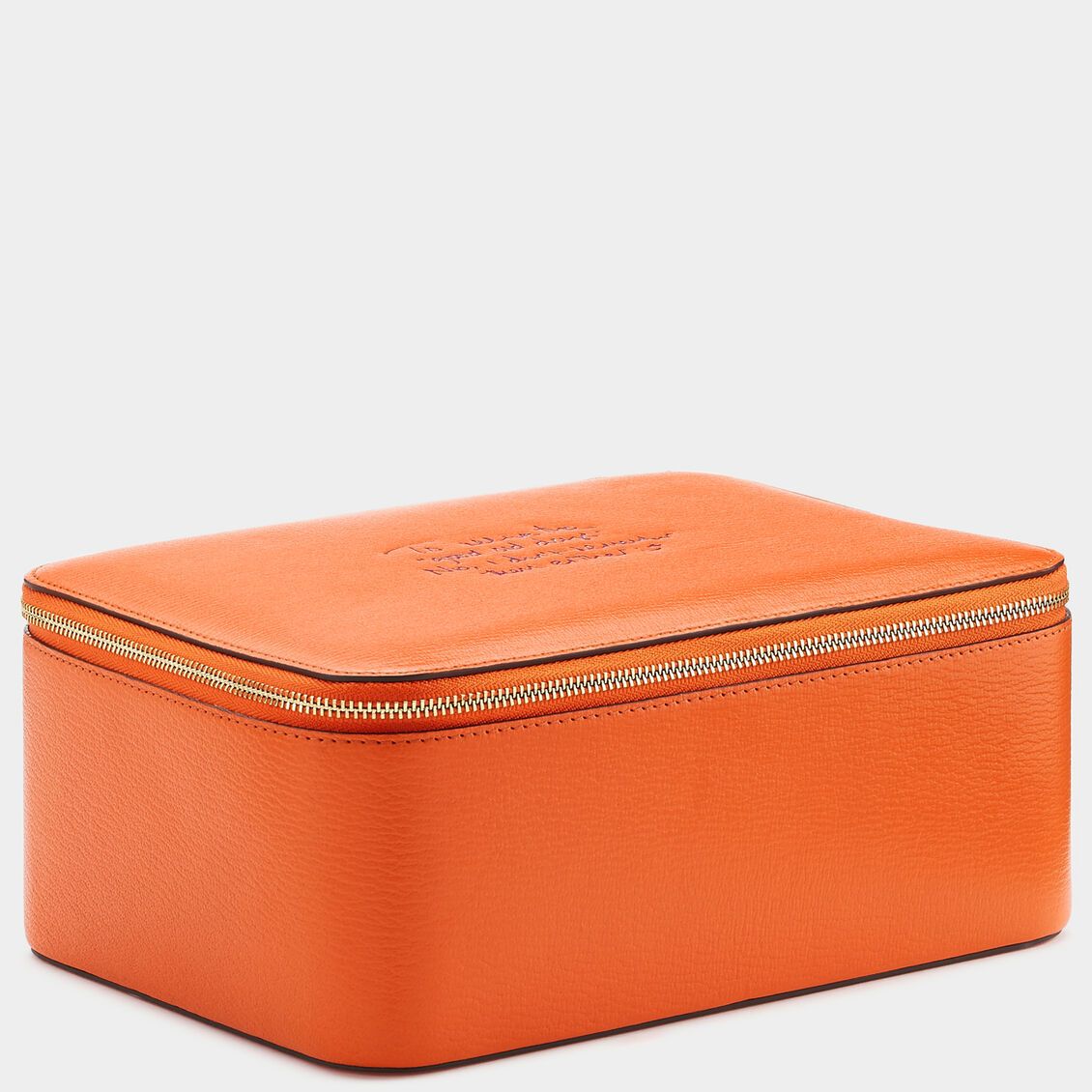Dinosaurs Wow Box XL -

                  
                    Capra Leather in Clementine -
                  

                  Anya Hindmarch EU

